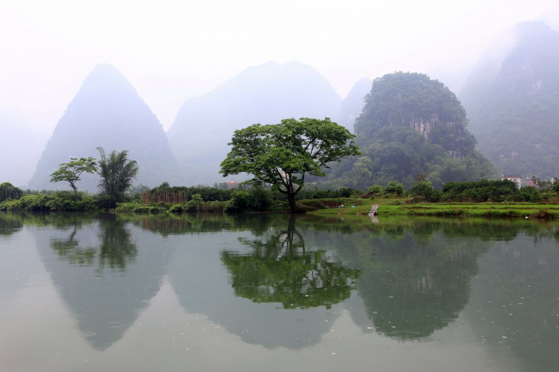 green trees on green grass field near lake during daytime