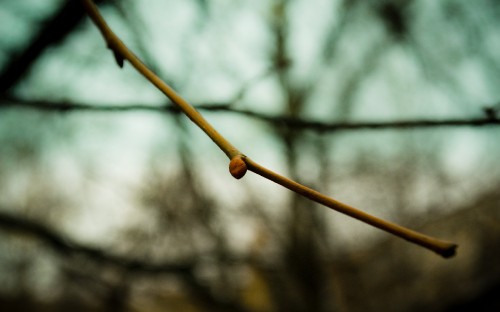 Image brown rope in tilt shift lens