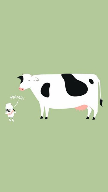 cute cow wallpaper iphone