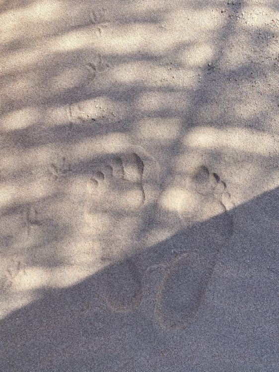 Ambiente, la Superficie de la Carretera, Madera, Neumáticos Para Automóviles, Asfalto. Wallpaper in 1536x2048 Resolution