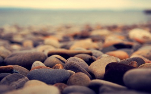 Image black and gray stones on beach during daytime