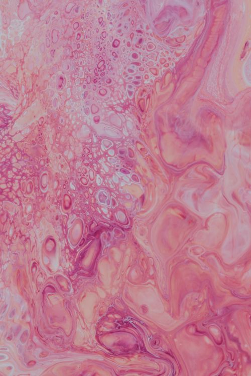 Textil Floral Rosa y Blanco. Wallpaper in 4000x6000 Resolution