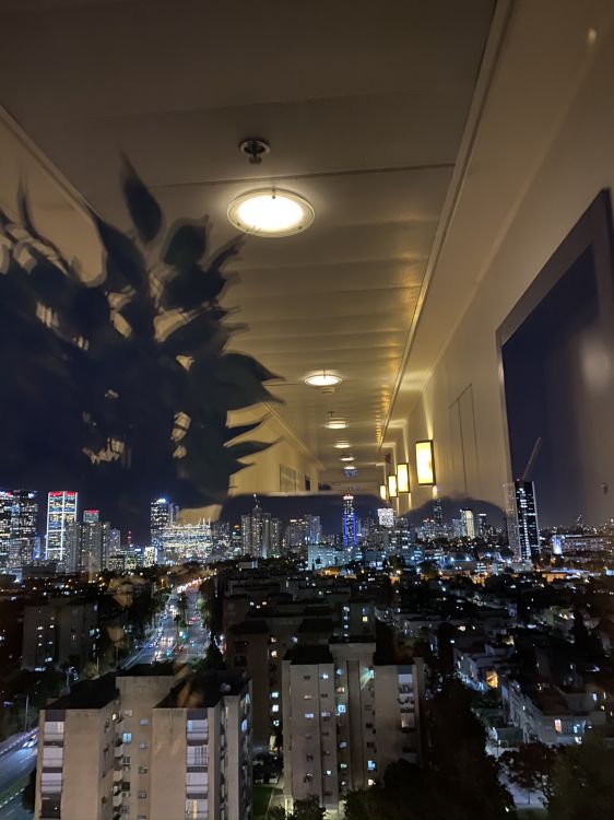 天花板, 城市, 灯光, 大都会, 电力 壁纸 1536x2048 允许