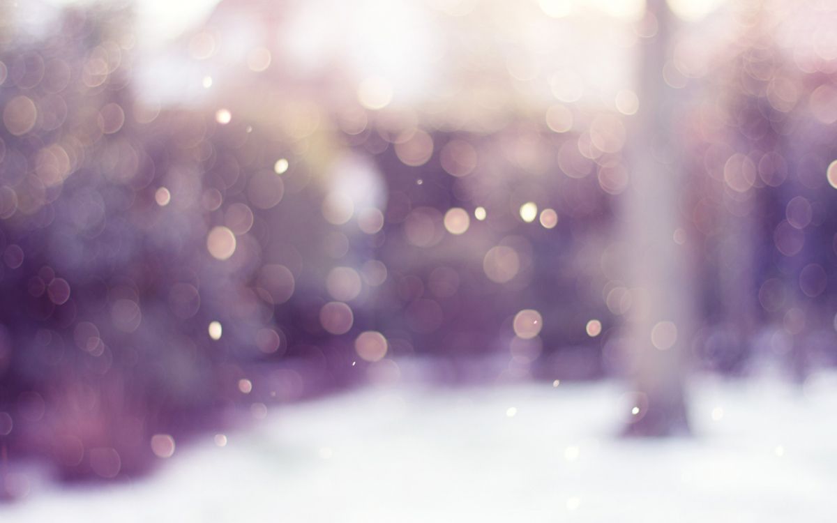 Neige, Hiver, Eau, Purple, Paysage Naturel. Wallpaper in 2560x1600 Resolution