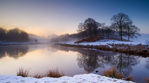 Image body of water near trees during daytime