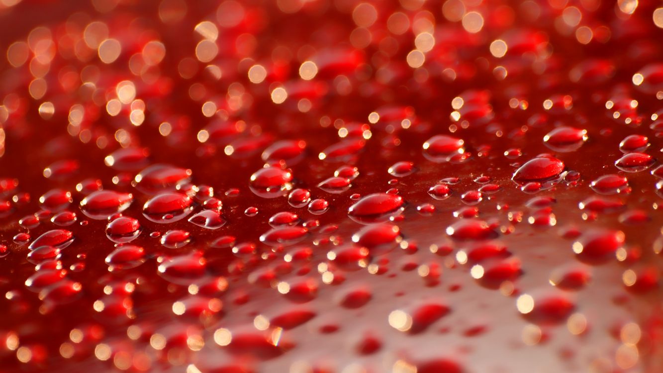 Agua, Líquido, Magenta, Patrón, Evento. Wallpaper in 2560x1440 Resolution