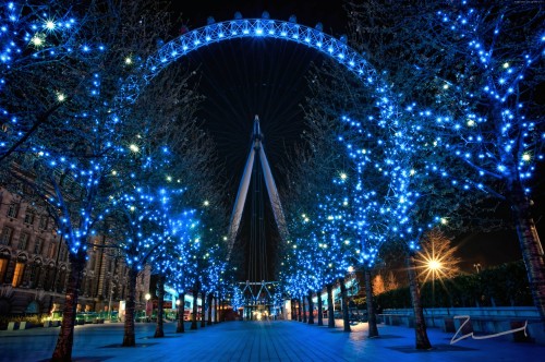 Image blue string lights on street during night time