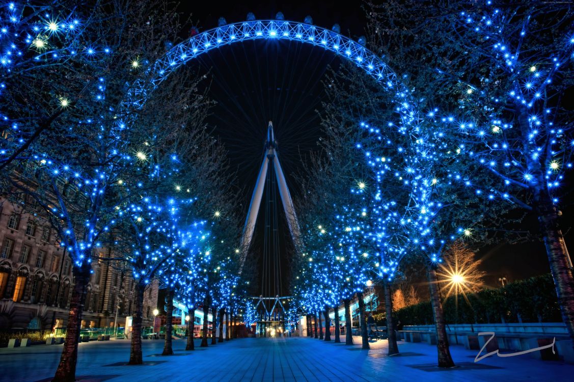 blue string lights on street during night time