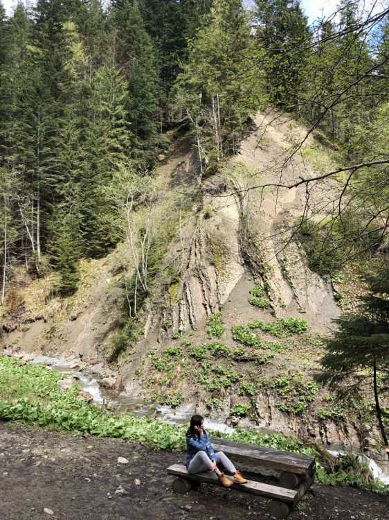 Géologie, Affleurement, Forêt, Soubassement, Aventure. Wallpaper in 1536x2048 Resolution