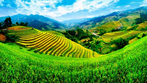 Image green grass field under blue sky during daytime