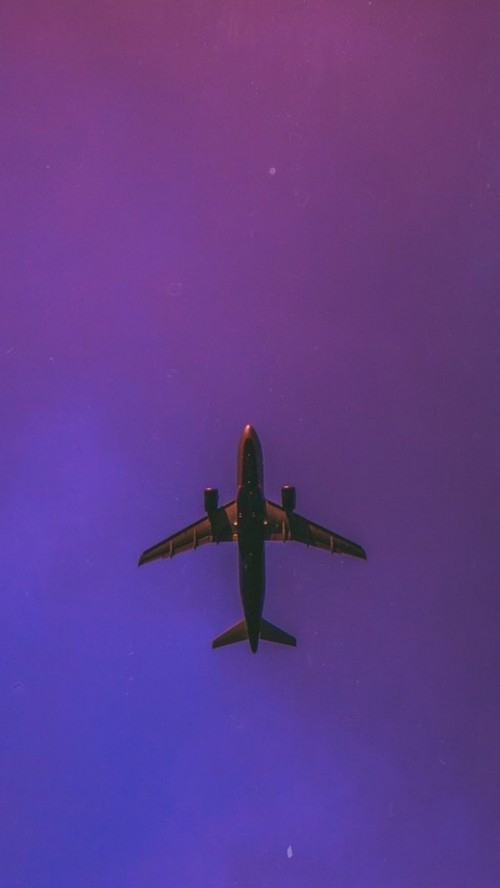 Image flight, aviation, airplane, science, physics