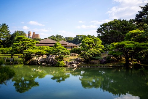 Image green trees beside body of water during daytime