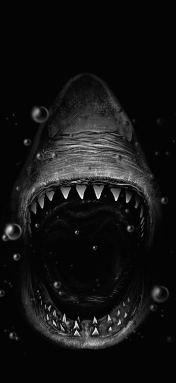 Kopf, Auge, Menschlichen Körper, Kiefer, KFZ-Reifen. Wallpaper in 1080x2340 Resolution