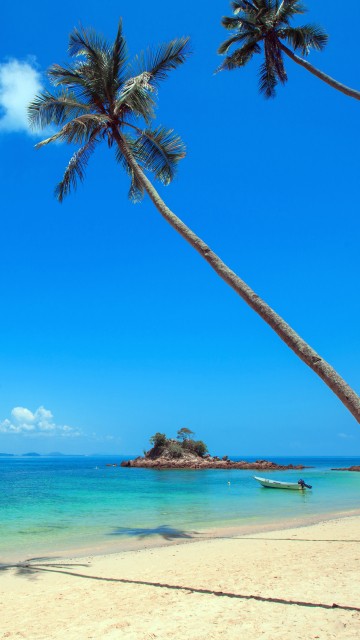 Image palm tree on white sand beach during daytime
