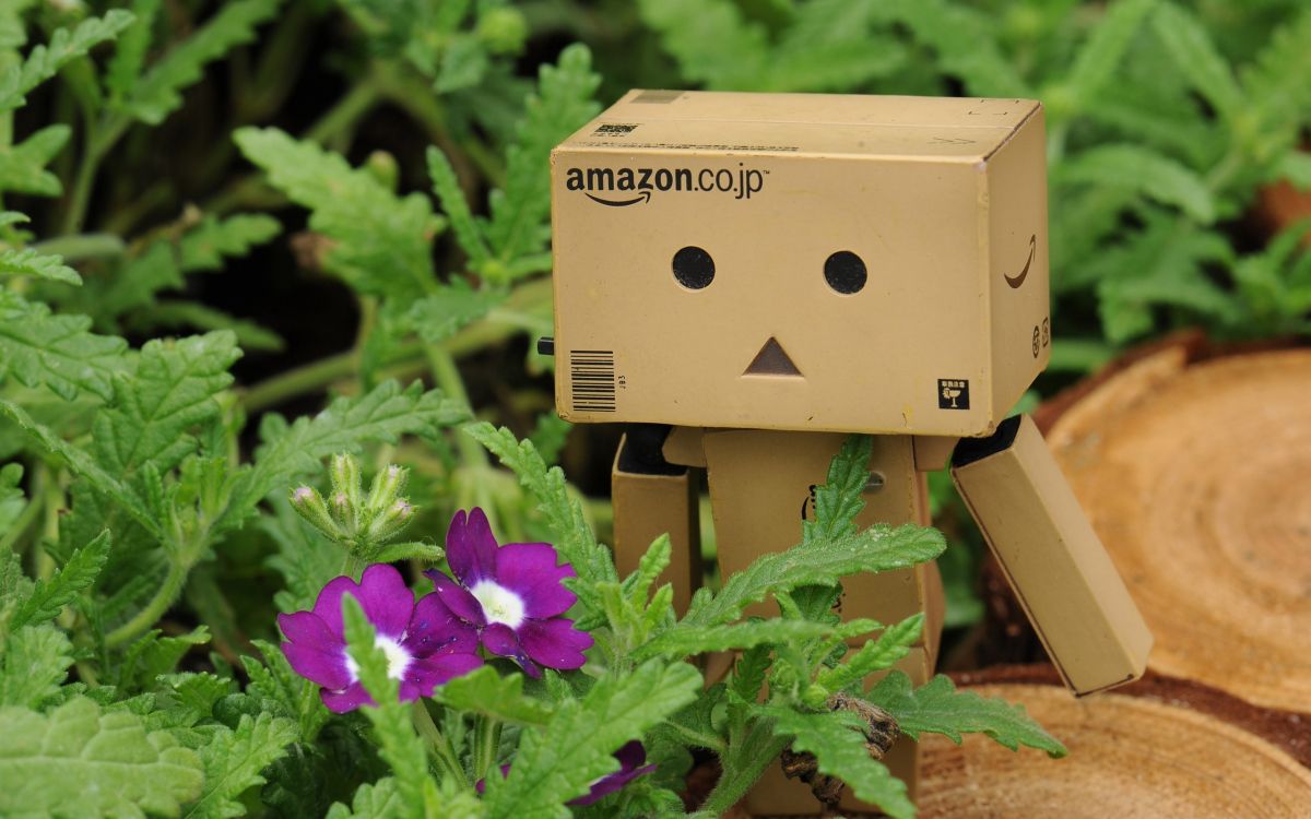 brown cardboard box robot on green plant