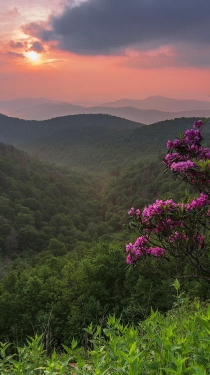 Natur, Vegetation, Naturlandschaft, Bergigen Landschaftsformen, Hill. Wallpaper in 1080x1920 Resolution