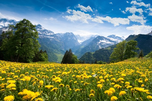 Image green grass field near green mountains under blue sky during daytime