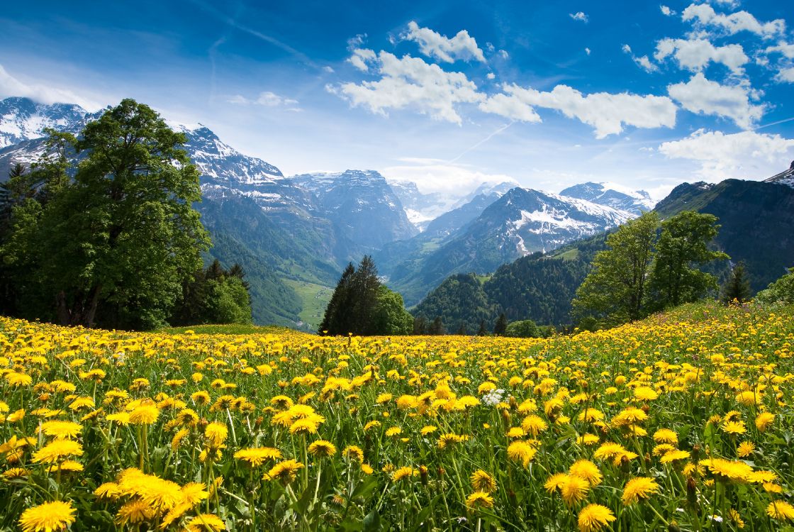 green grass field near green mountains under blue sky during daytime