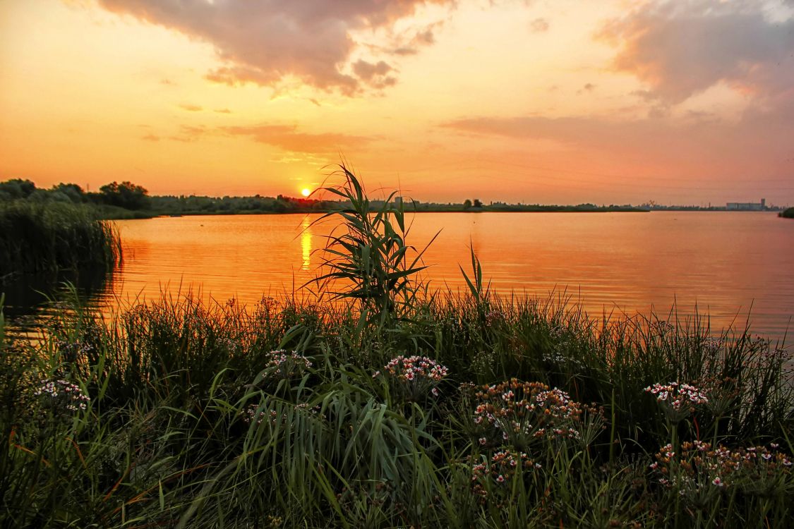 body of water during sunset