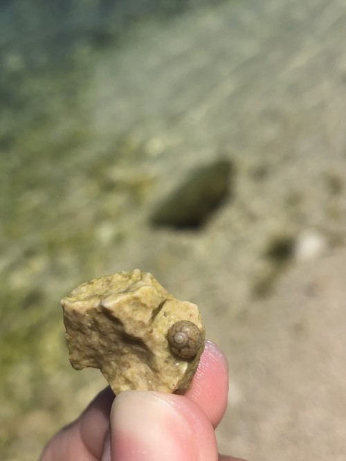 Image rock, mineral, finger, Khaki, close up