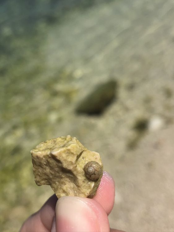 rock, mineral, finger, Khaki, close up