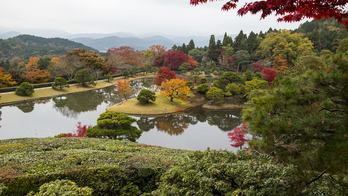 Champ D'herbe Verte Près du Lac Pendant la Journée. Wallpaper in 2560x1440 Resolution