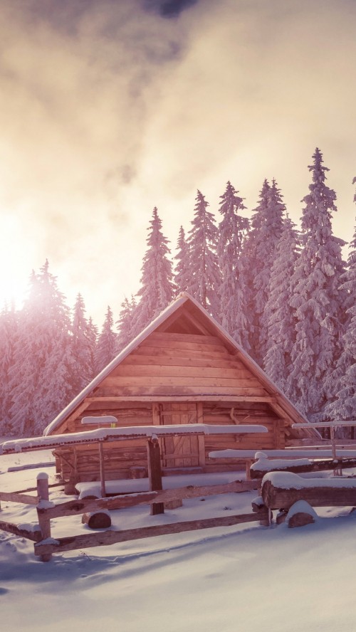 Image brown wooden house near trees during daytime