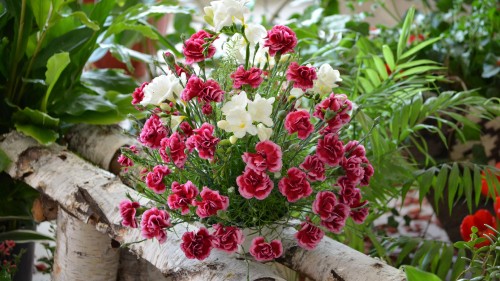 Image red and white flowers on white textile