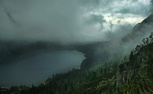 Image green trees near body of water under white clouds