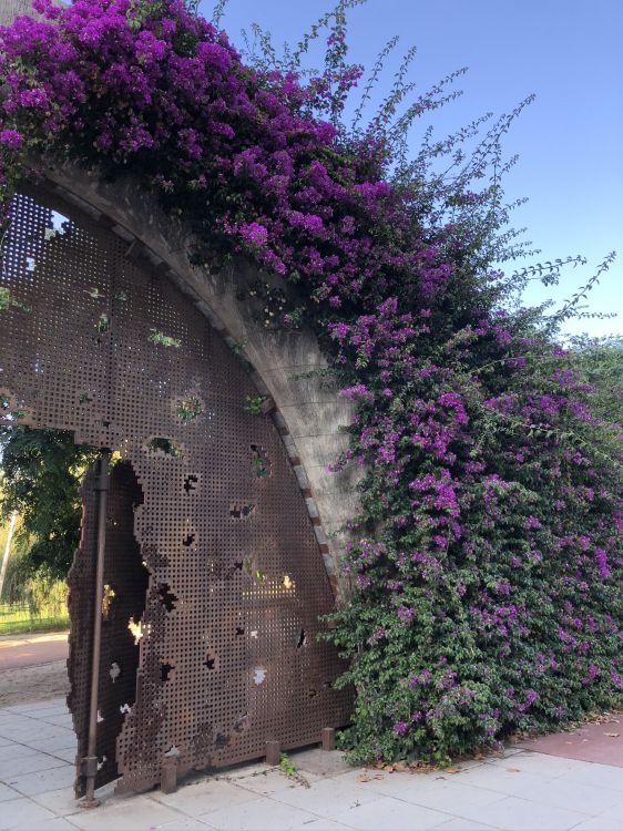 科学, 物理学, 紫色的, 灌木, 紫罗兰色 壁纸 1536x2048 允许