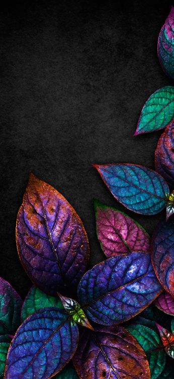 Feuille, Purple, Nature, Liquid, Botanique. Wallpaper in 2160x4680 Resolution