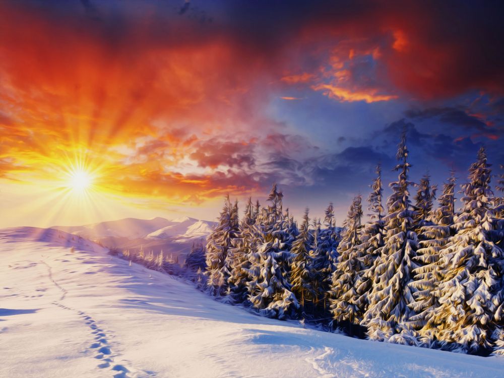 Schneebedeckte Bäume Bei Sonnenuntergang. Wallpaper in 2560x1920 Resolution