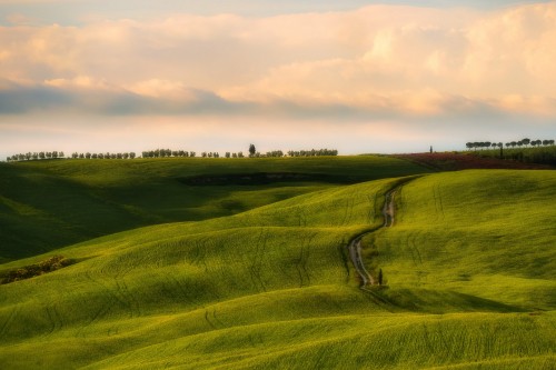 Image green grass field under cloudy sky during daytime