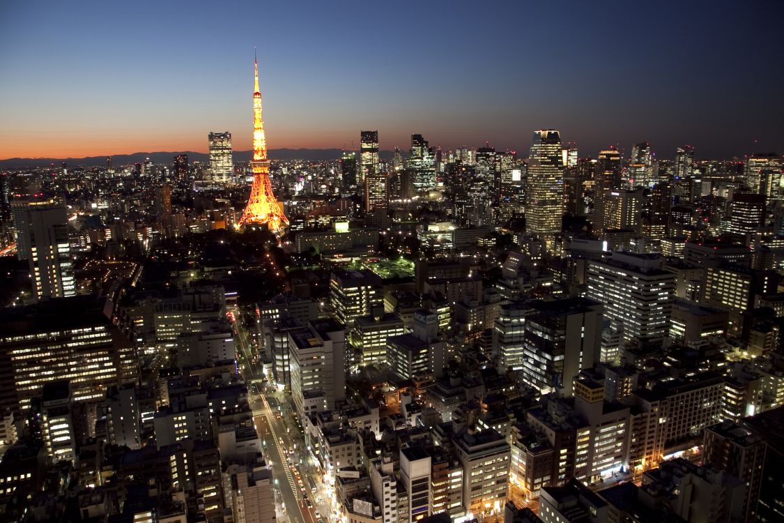 city skyline during night time