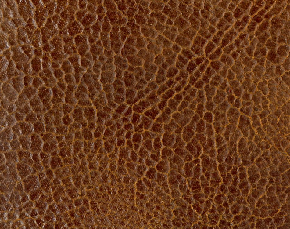 Brown and White Leopard Textile. Wallpaper in 3000x2364 Resolution