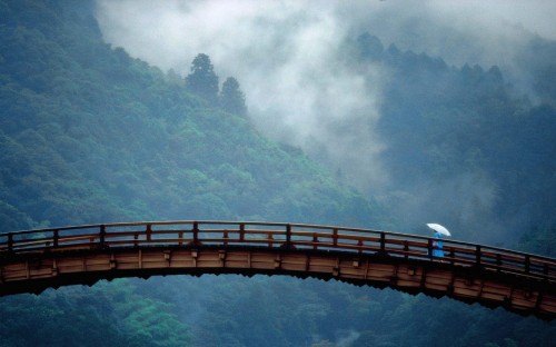 Image brown wooden bridge over green trees covered with fog