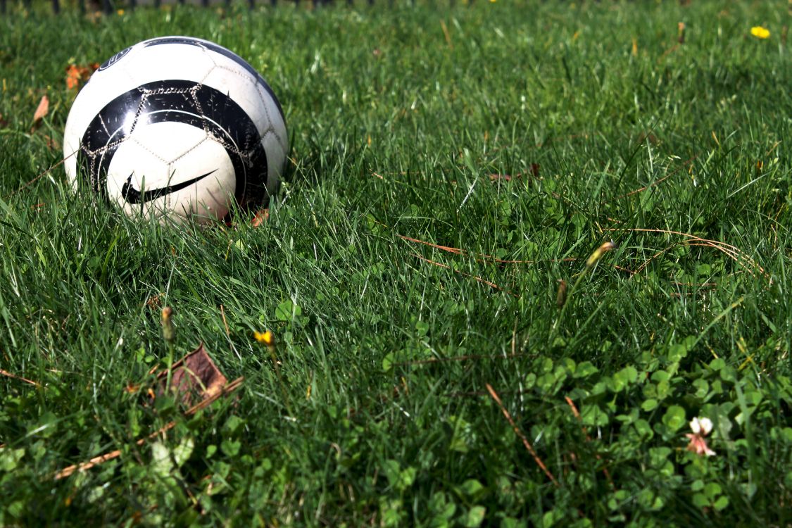 White and Black Soccer Ball on Green Grass Field. Wallpaper in 4272x2848 Resolution