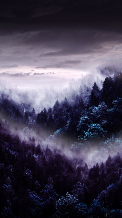 Ambiente, Paisaje Natural, Montaña, Bruma, Highland. Wallpaper in 4320x7680 Resolution