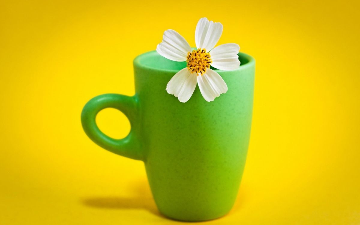 Fleur Blanche Sur Tasse en Céramique Verte. Wallpaper in 1920x1200 Resolution