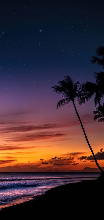 Agua, Ambiente, Luz, Naturaleza, Afterglow. Wallpaper in 1421x3000 Resolution