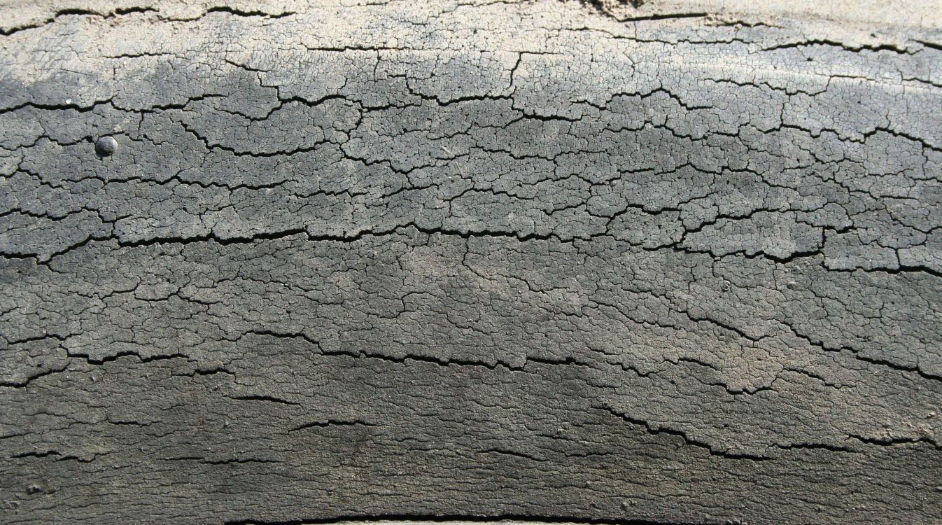 Braune Und Weiße Holzoberfläche. Wallpaper in 3456x1925 Resolution