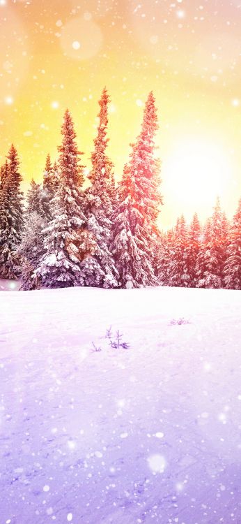 Hermosas Tarjetas de Feliz Año Nuevo, Nieve, Paisaje Natural, Alerce, Sucursal. Wallpaper in 1125x2436 Resolution