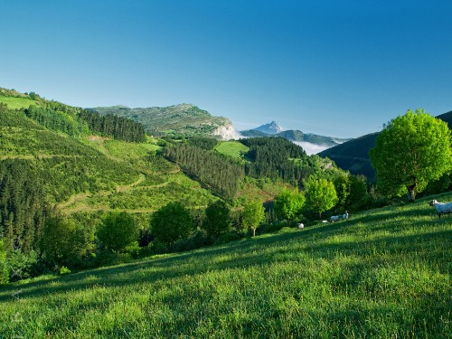 Image green grass field near green mountains under blue sky during daytime