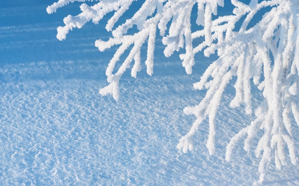 冻结, 冬天, 一天, 雪人, 性质 壁纸 2560x1600 允许