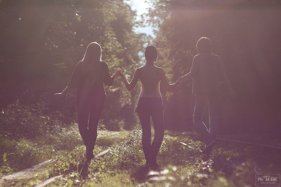 光, 阳光, 气氛, 背光, 亮点 壁纸 4752x3168 允许