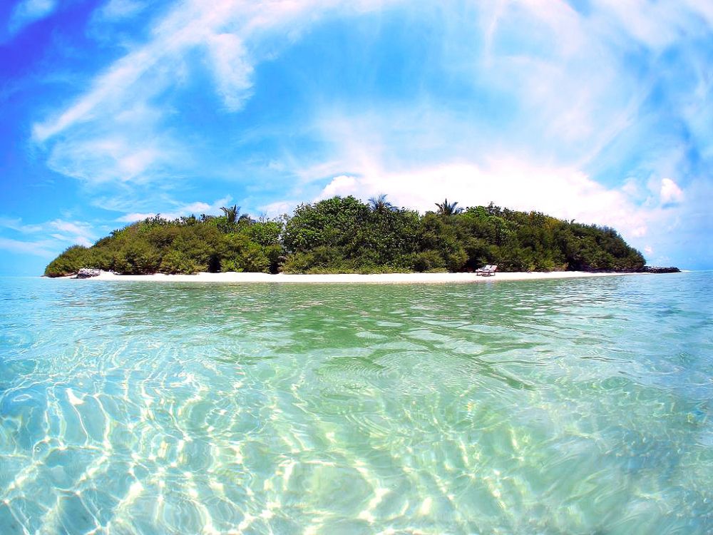 green trees on island during daytime