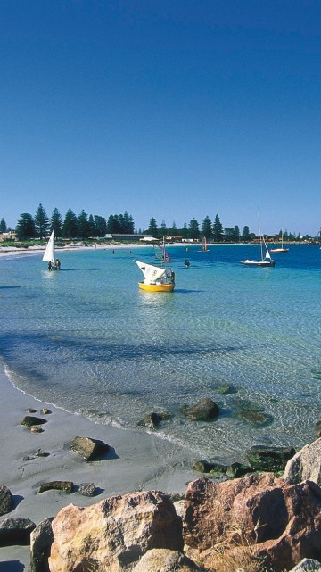 Image white sail boat on sea shore during daytime