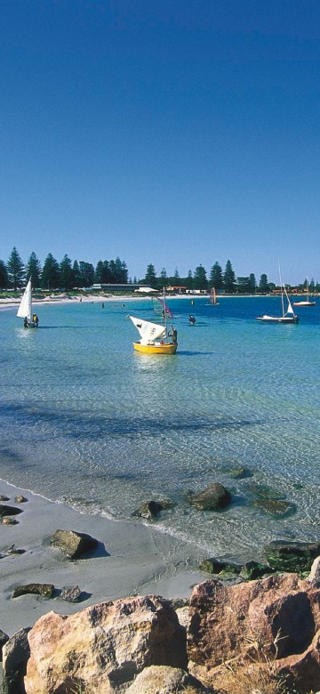 Image white sail boat on sea shore during daytime