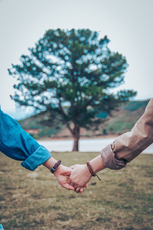 Image friendship, turquoise, hand, tree, arm