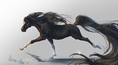 Image stallion, horse, mane, mustang horse, horse tack